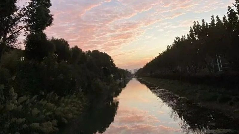 杭州个体户与营业执照：注册区别全解析